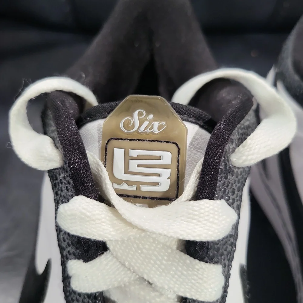Nike Lebron VI Low "White Black" - Picture 4 of 15